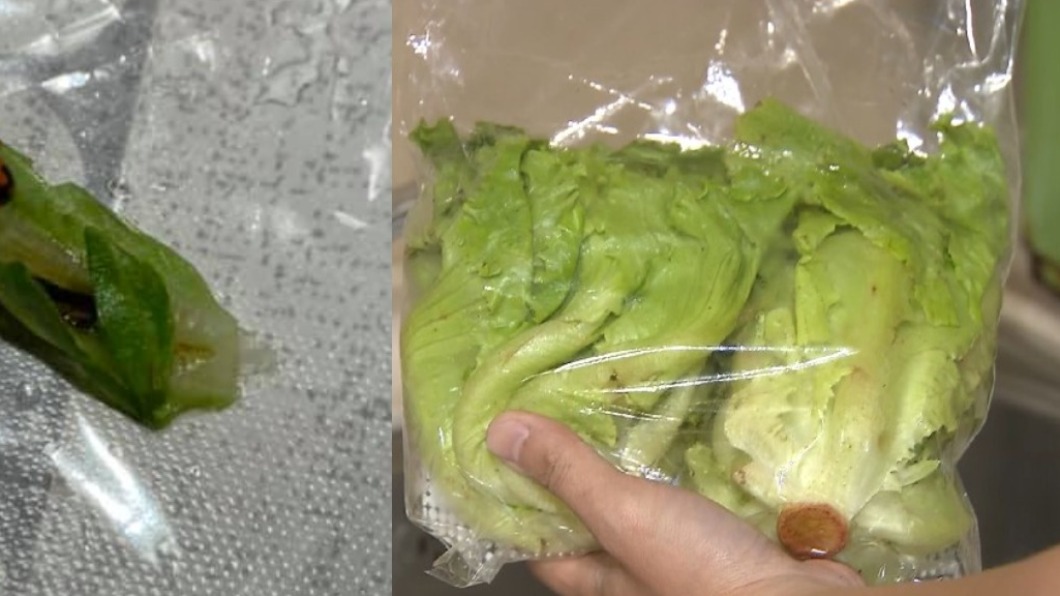 買產銷大陸妹見活蟲亂爬 全場卻狂讚:是好事