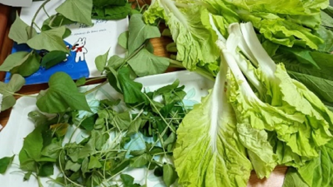 【錯誤】網傳枯萎蔬菜泡神奇水竟能華麗變翠綠？