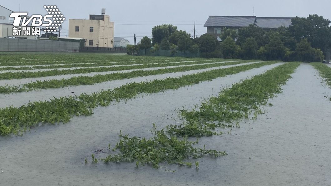 連日降雨加上盧碧颱風影響 農民憂心農損加劇