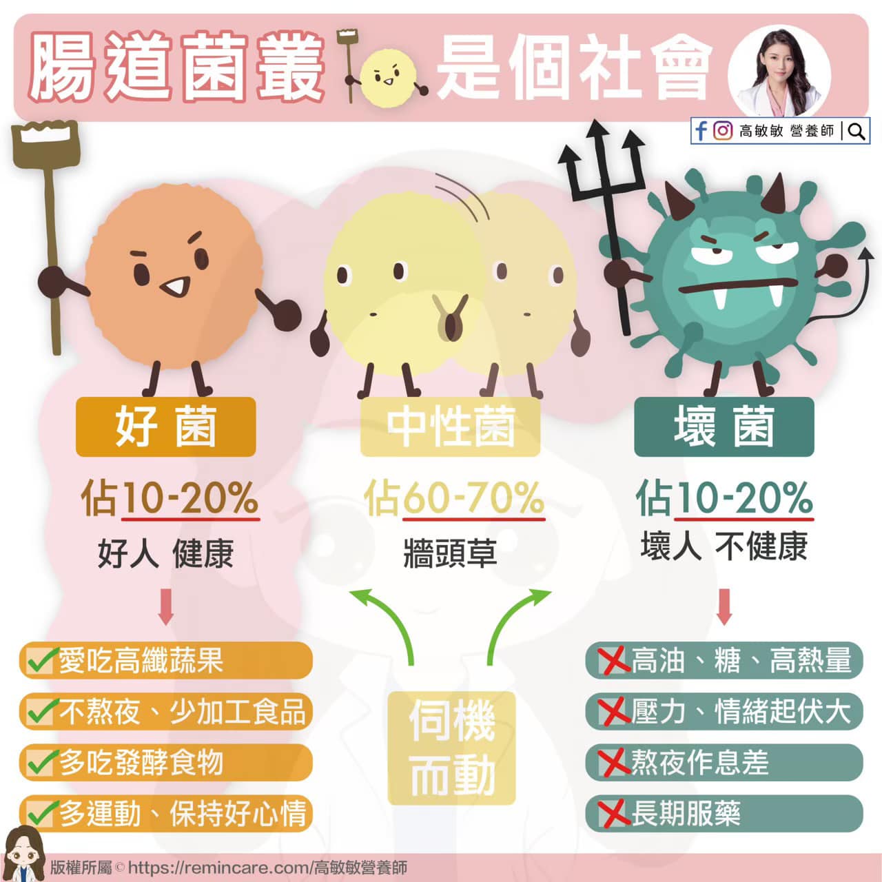 營養師高敏敏教導民眾如何維持腸道好菌。(圖/翻攝自高敏敏營養師 臉書)