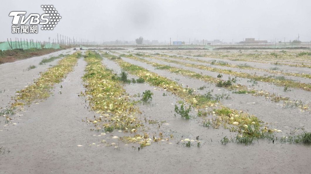 豪雨致災農業救助　擴大彰化以南7縣市適用