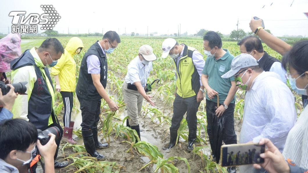 豪雨致災農損逾上億!農委會:採氣侯條件現金救助免勘查