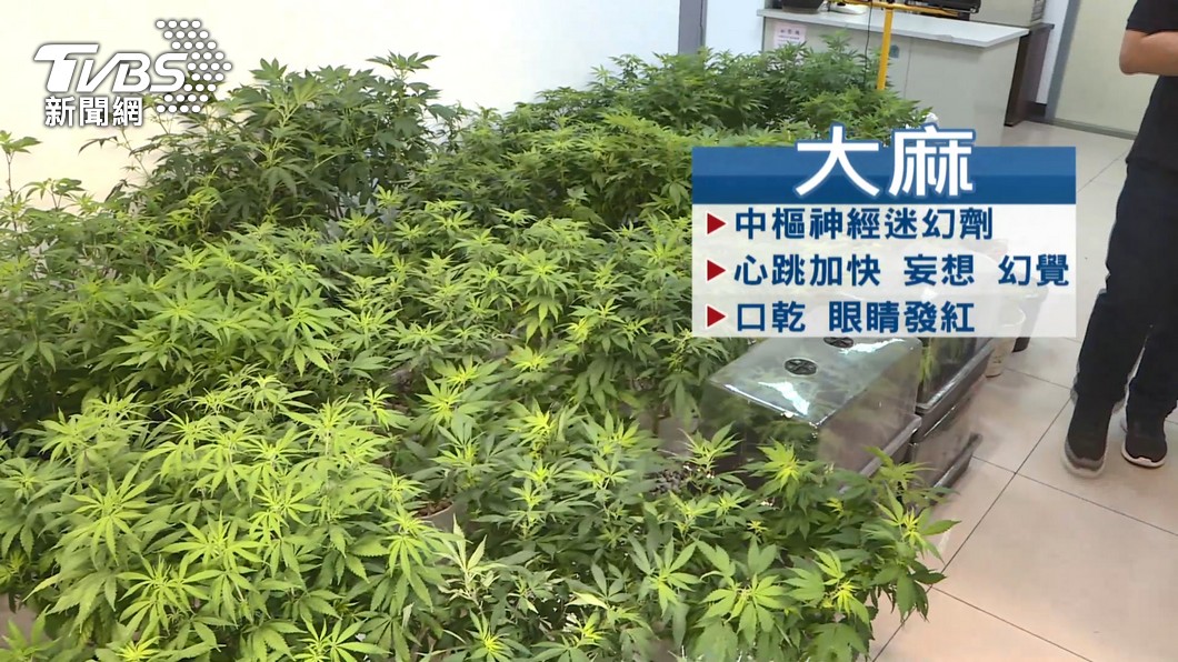 圖/TVBS