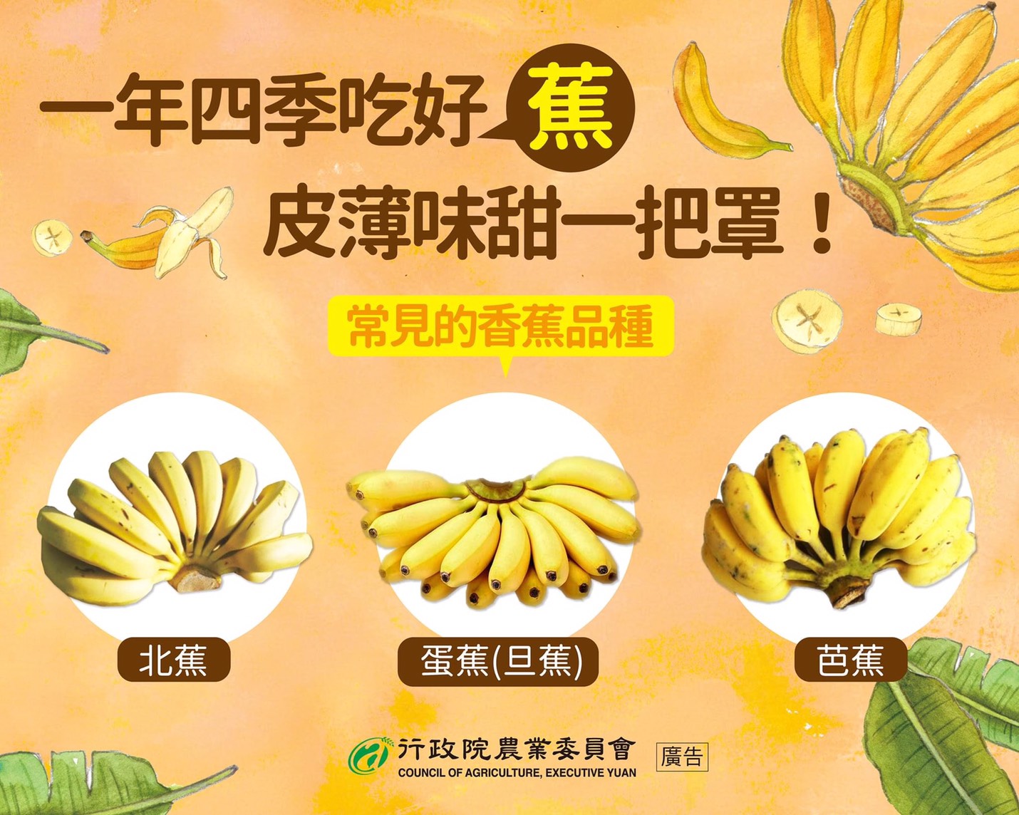 農委會於臉書介紹個香蕉品種。(圖/翻攝自行政院農業委員會 臉書)