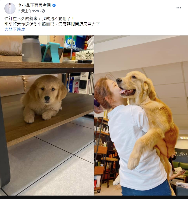李燕感嘆毛小孩一下就長得好大隻。（圖／翻攝自李燕臉書）