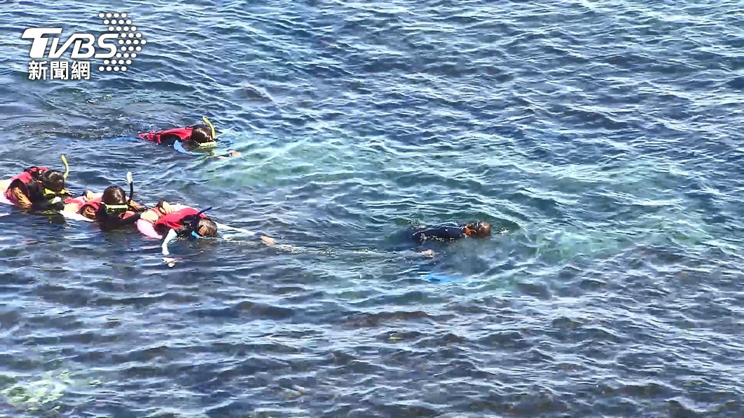 抓緊暑假尾聲下海!指揮中心擬鬆綁「海邊游泳、浮潛」