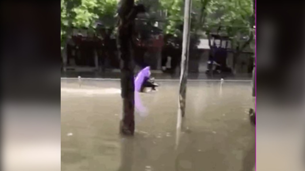 圖／翻攝自乌镇老田埂微博