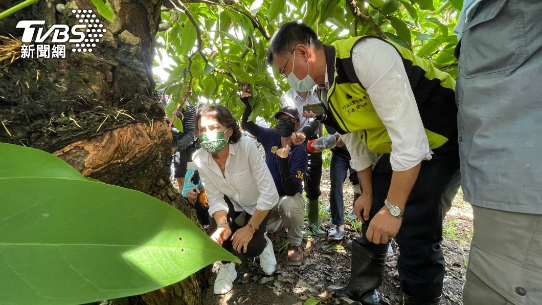 高雄視察災損 陳吉仲允修改辦法擴大補助