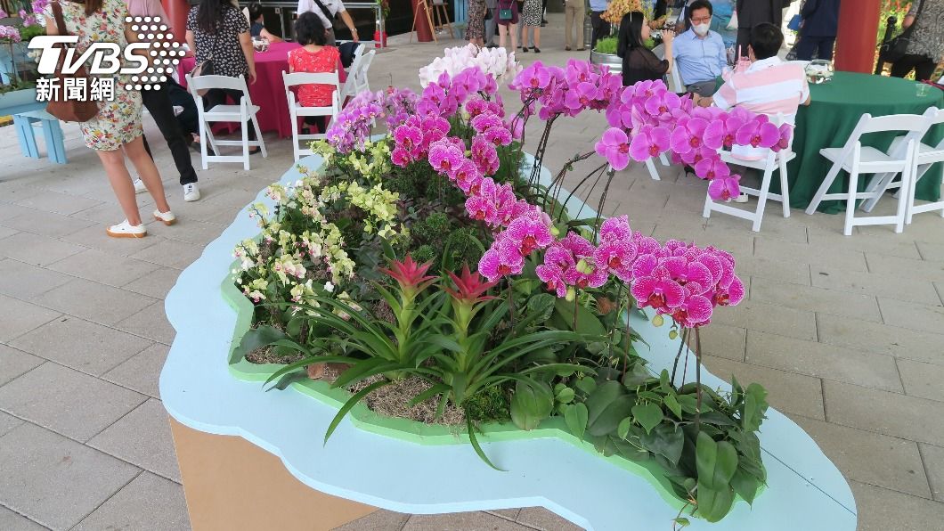 以不同顏色及品種蘭花排列成台灣本島。(圖/中央社)