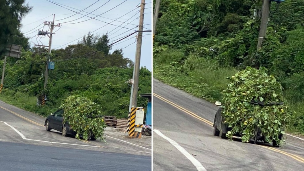 馬路遇「草叢飄移」傻眼 全場狂猜動機:兩光演習?