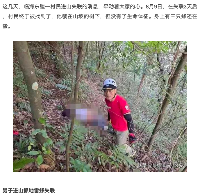 男子遺體被發現時還有蜂在螫咬。(圖/翻攝自法治社會報)