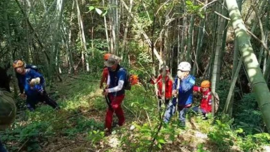 叮到像被地雷炸!陸男抓蜂失蹤 找到遺體3蜂還在螫