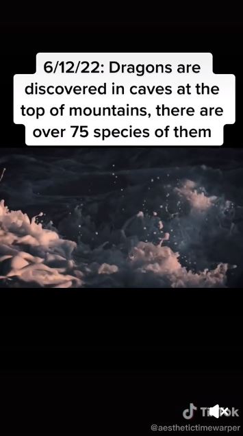 時空旅人自稱從2714年穿越到過來。(圖/翻攝自TikTok)