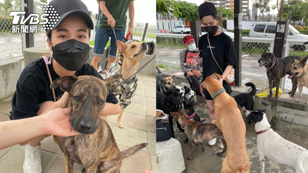 林芯儀到流浪動物收容所探往。（圖／解碼音樂提供）