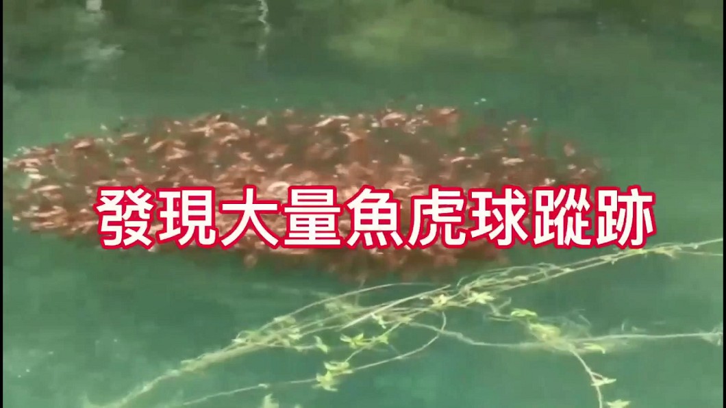 圖／翻攝自日月潭一等高
