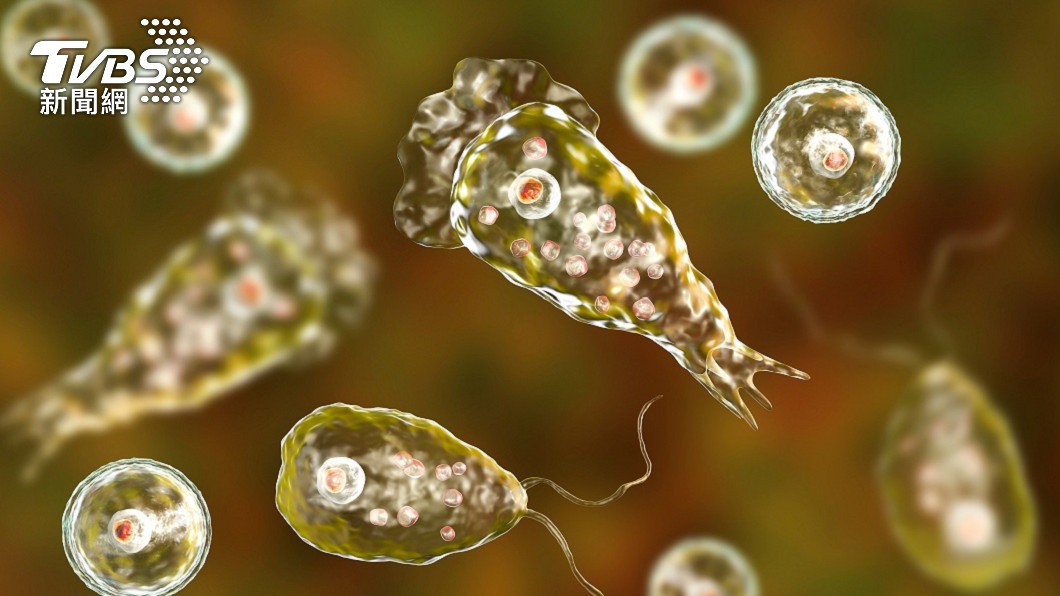 男童感染了「原發性阿米巴腦膜腦炎」。(示意圖/shutterstock達志影像)