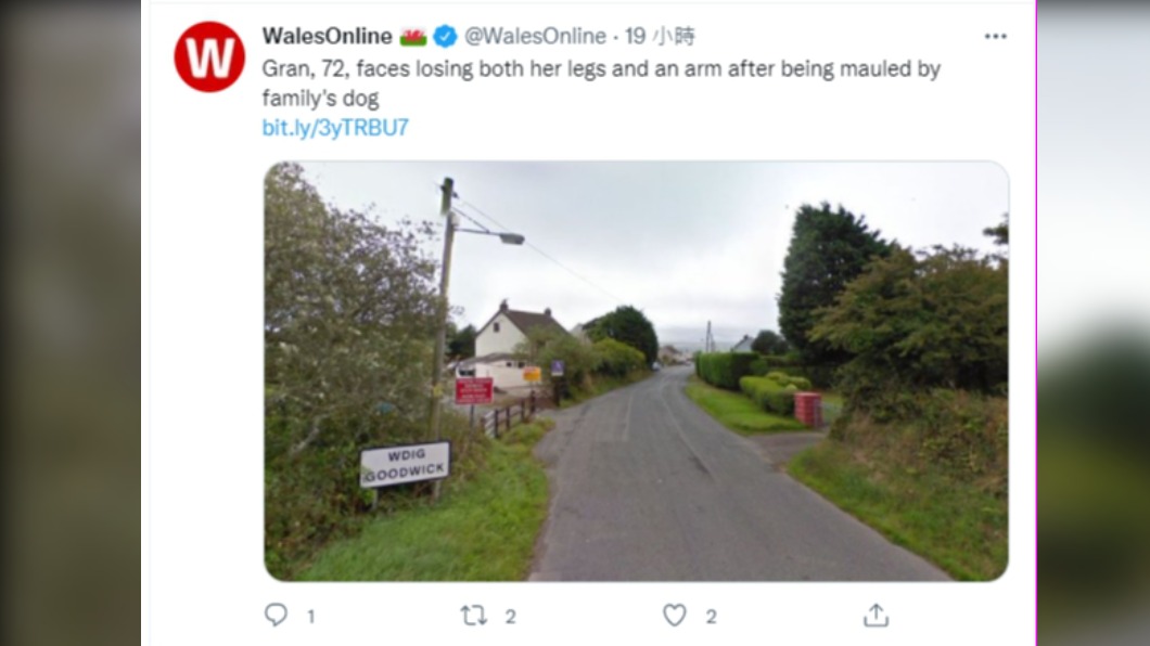 一名英國婦人遭家中鬥牛犬咬傷。(圖/翻攝自WalesOnline推特)