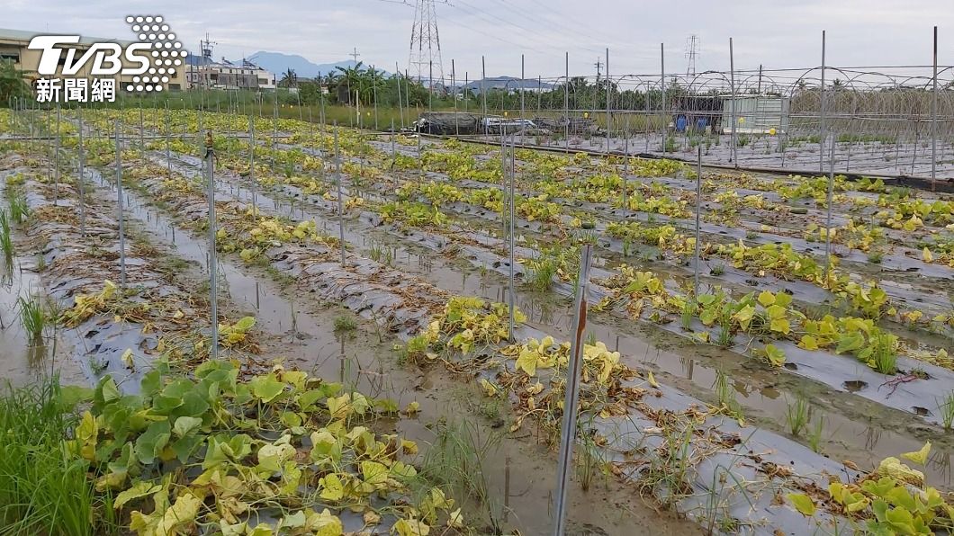 農損嚴重急復耕　陳吉仲：這次真的從速發救助金