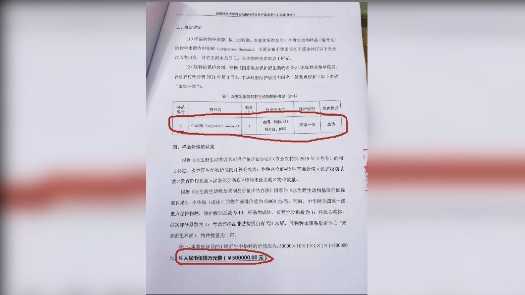 男子慘遭罰50萬人民幣。(圖/翻攝《瀟湘晨報》)
