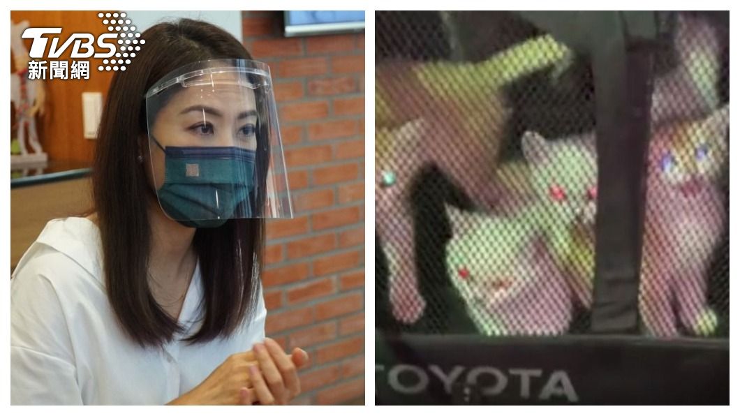防疫女神賈永婕看到走私的貓被安樂非常傷心。（合成圖／TVBS）