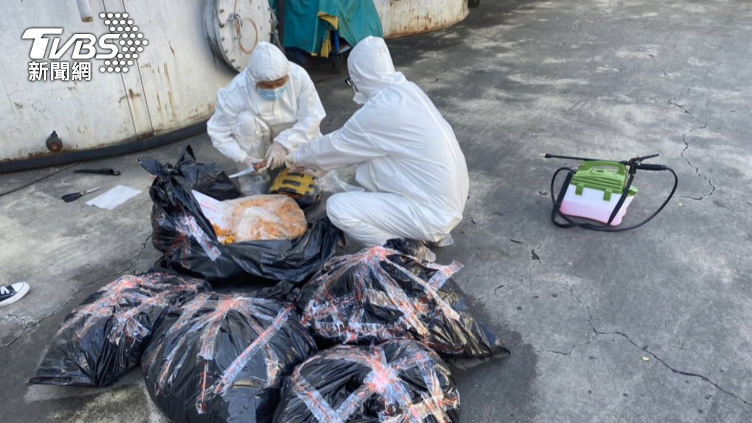 非洲豬瘟破口!報關行違規41次照營業 蘇貞昌斥關務署