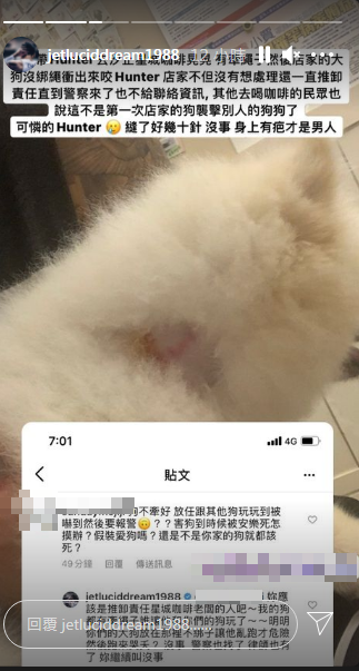 張宗憲愛犬遭大狗襲擊。(圖/翻攝自jetluciddream1988 IG)