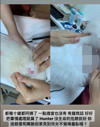 張宗憲愛犬縫了幾十針。(圖/翻攝自jetluciddream1988 IG)