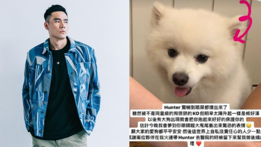 愛犬遭咬出血洞縫多針　張宗憲控店家卸責：不覺得羞恥？