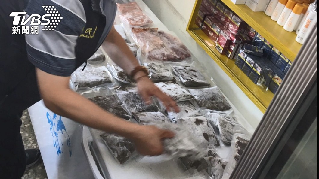 非洲豬瘟侵台! 農委會:檢舉獎金增至最高120萬
