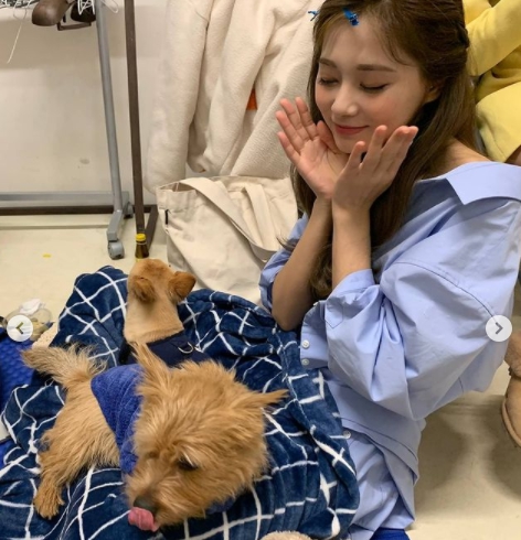周子瑜認領了流浪犬。(圖/翻攝自twicetagram IG)