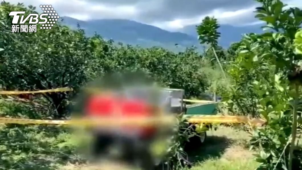 採收文旦農務車下滑!男徒手阻擋 遭夾車頭、果樹間慘死