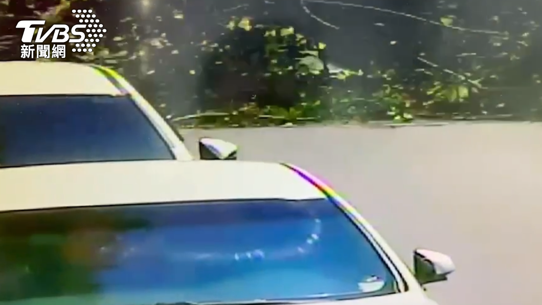 樹倒後轄區警方立即到場交通管制。(圖/TVBS)