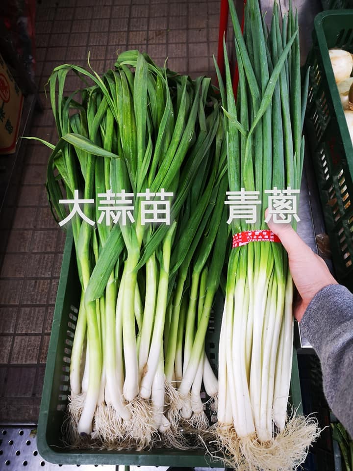  蒜苗、青蔥外型相似。（圖／翻攝自廚藝公社臉書）