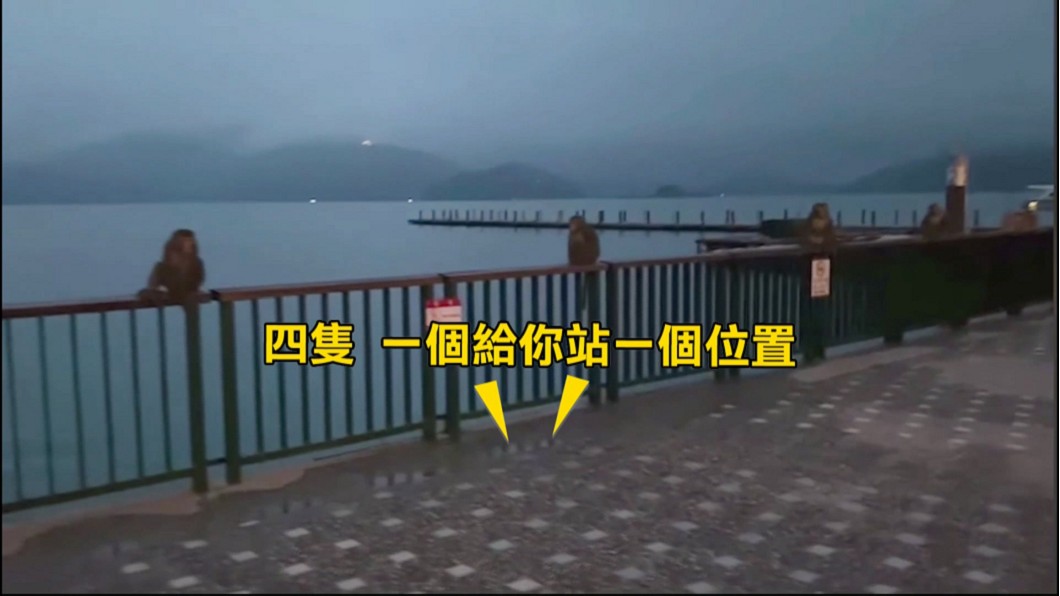 圖/畫面提供劉啟行