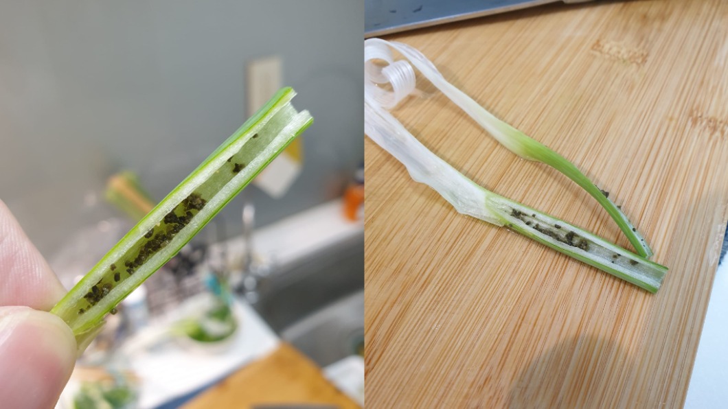 原PO在蔥內驚見超多黑色顆粒物。(合成圖/翻攝自《我愛全聯-好物老實説》臉書)