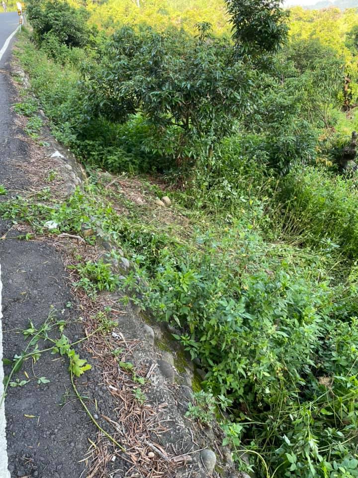 該路段是往來台中及台74線東外環的產業道路。(圖/翻攝自台鳳社區大小事臉書)