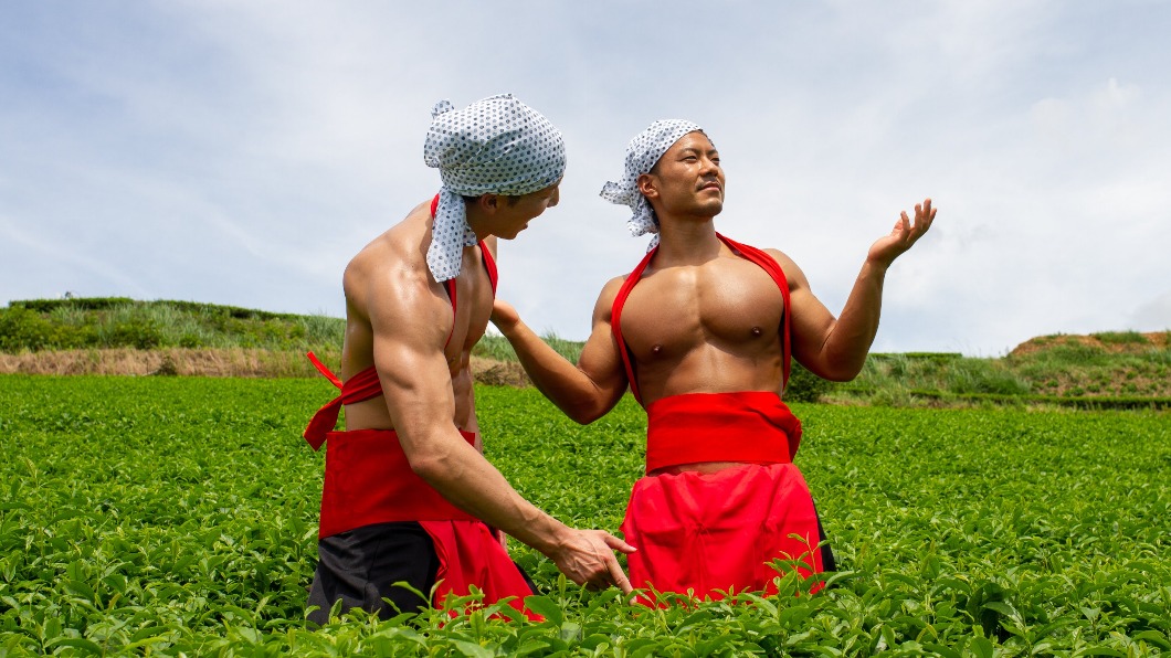 《茶園肌肉男》系列。（圖／翻攝自@muscleplus_free推特）