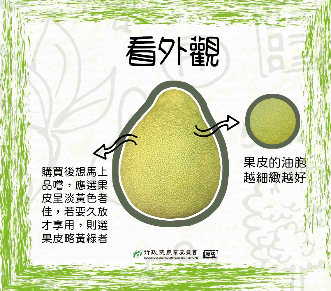 挑選文旦時切記要選擇果皮外觀越細緻、光滑者。(圖/翻攝自行政院農委會臉書)