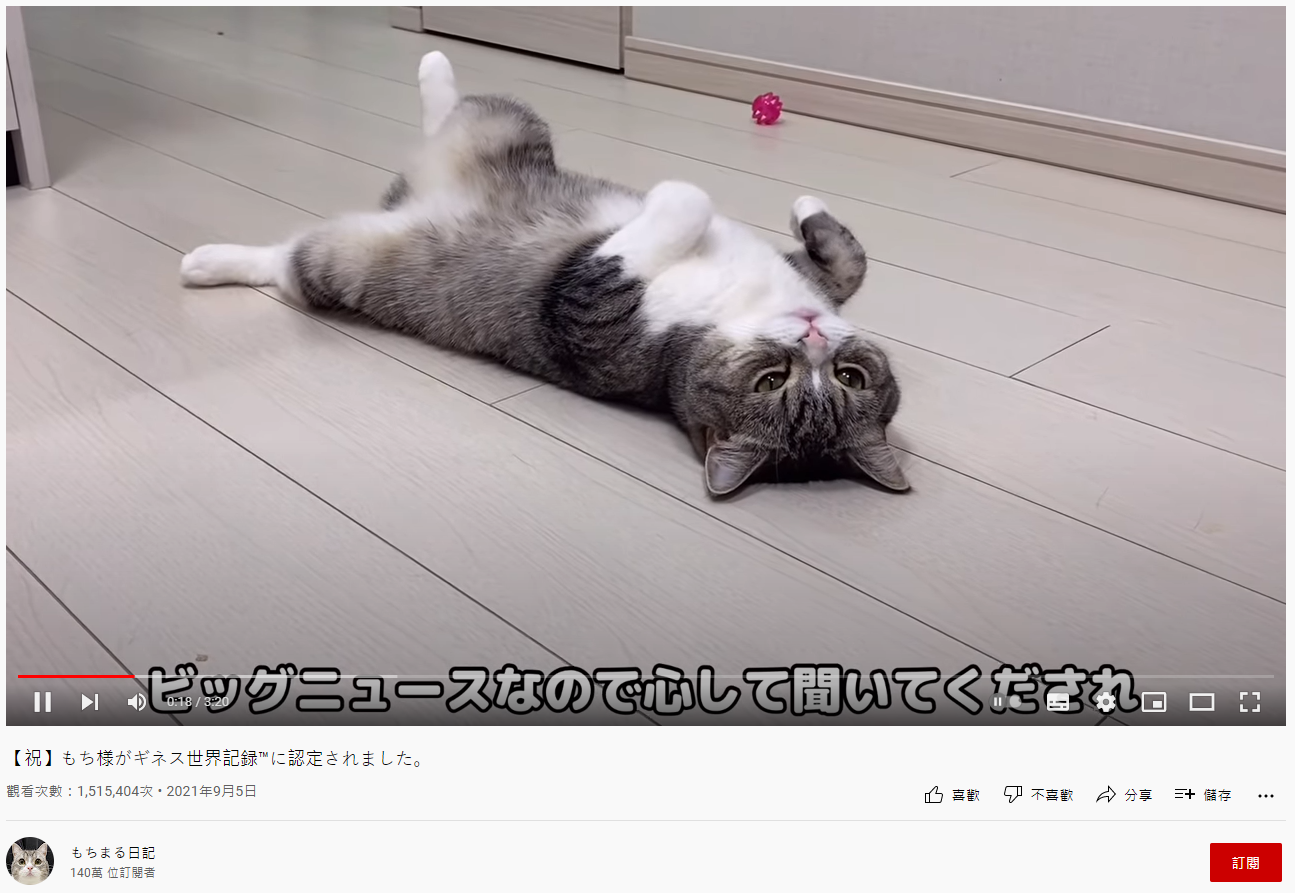 望丸的可愛模樣還被拍成照片出寫真集。(圖/翻攝自もちまる日記YouTube)