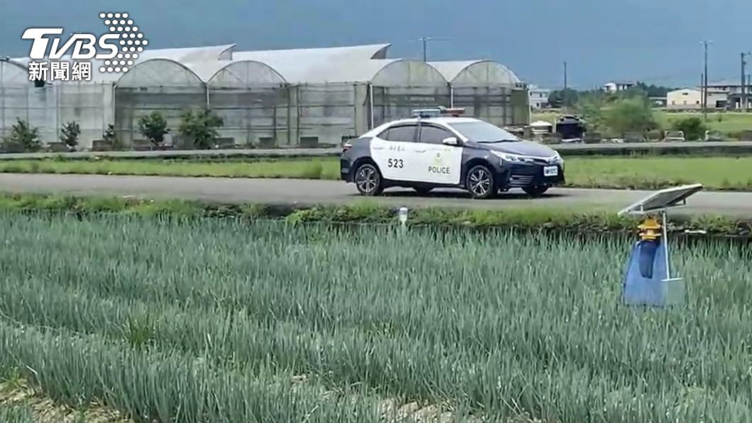 宜蘭三星蔥價漲傳竊案 警方啟動「護蔥專案」