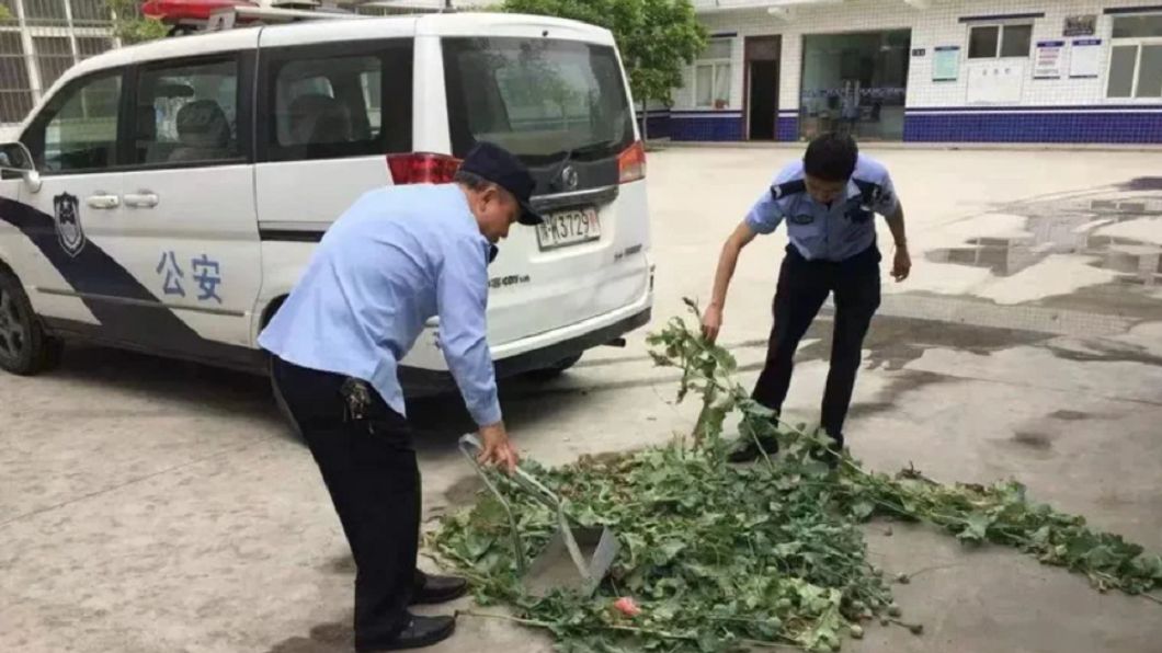 事後相關單位果真驗出調味料內添加罌粟粉。(圖/翻攝自中國之聲微博)