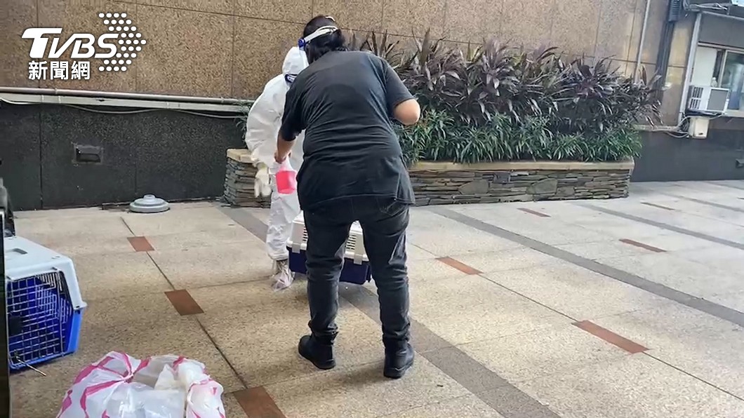 圖／TVBS(非當事人)