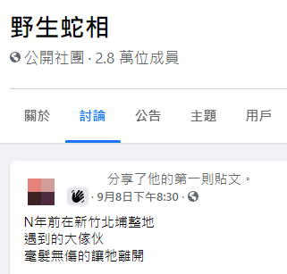 (圖/翻攝自「野生蛇相」)