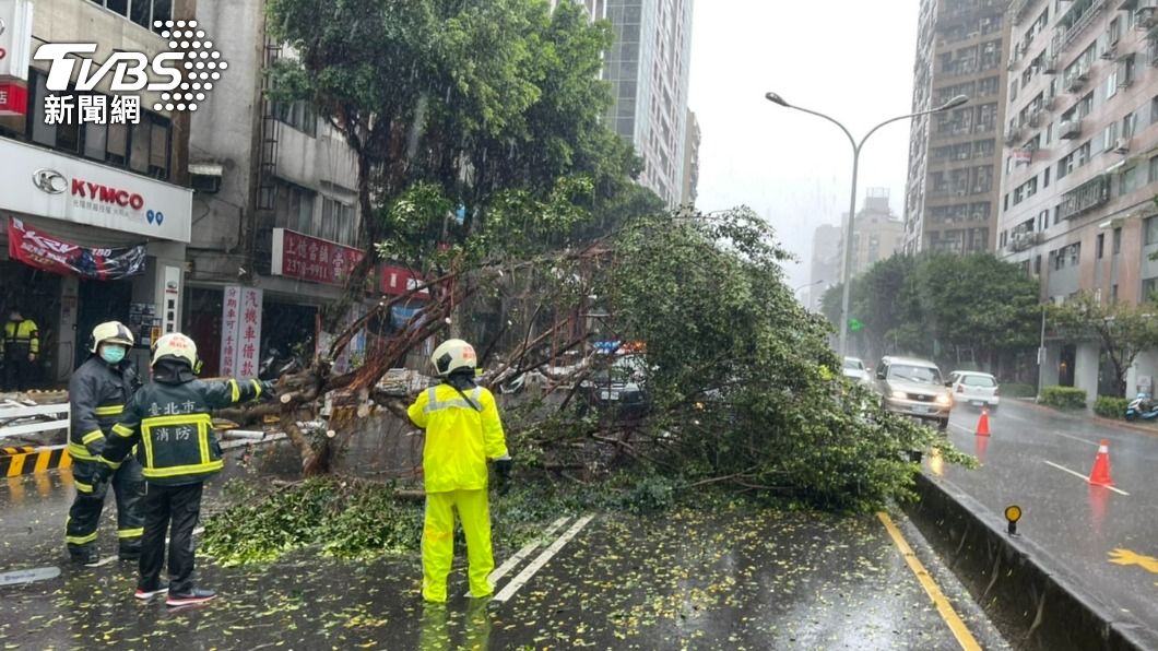 璨樹風雨來襲!北市基隆路二段路樹倒塌 公車急煞險遭壓
