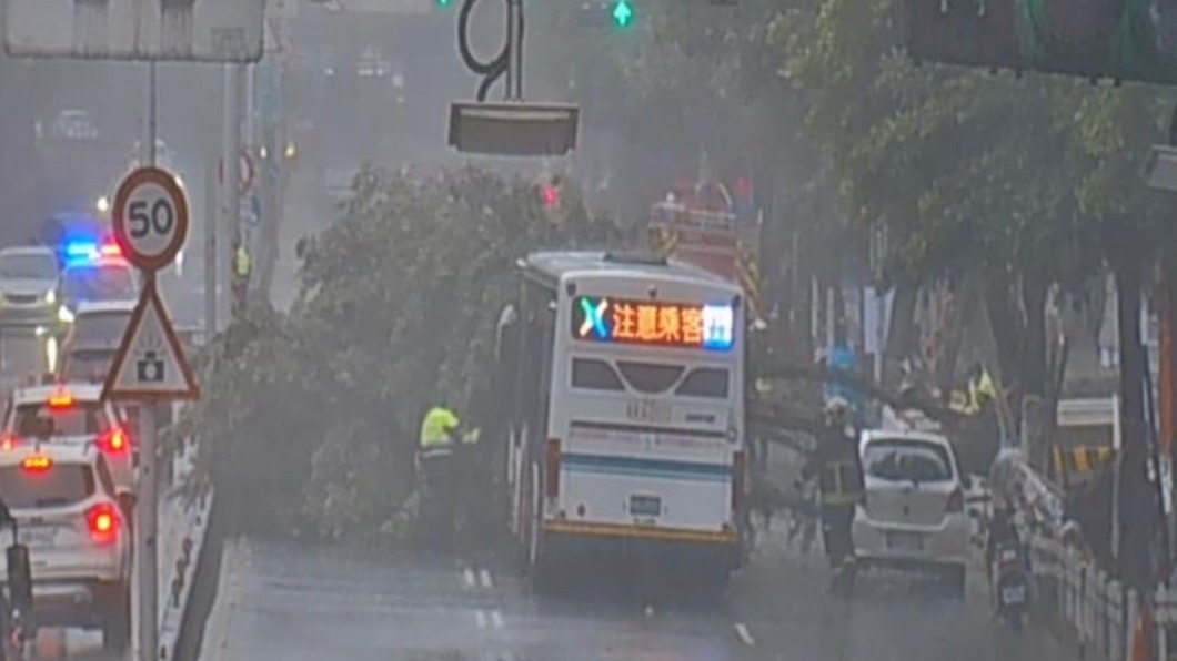 公車緊急停在倒榻路樹的前方。(圖/翻攝即時路況影像)