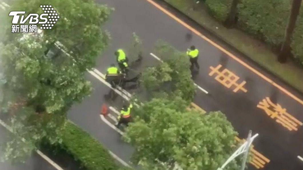 路樹不敵風雨倒塌公車專用道 警化身「大力士」合力搬移