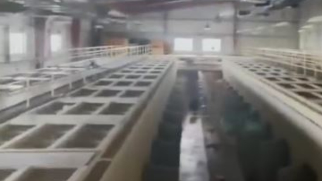 圖/翻攝自启廸沙龙 微博