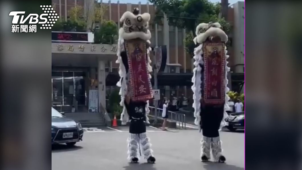 白獅陣。(圖/TVBS)