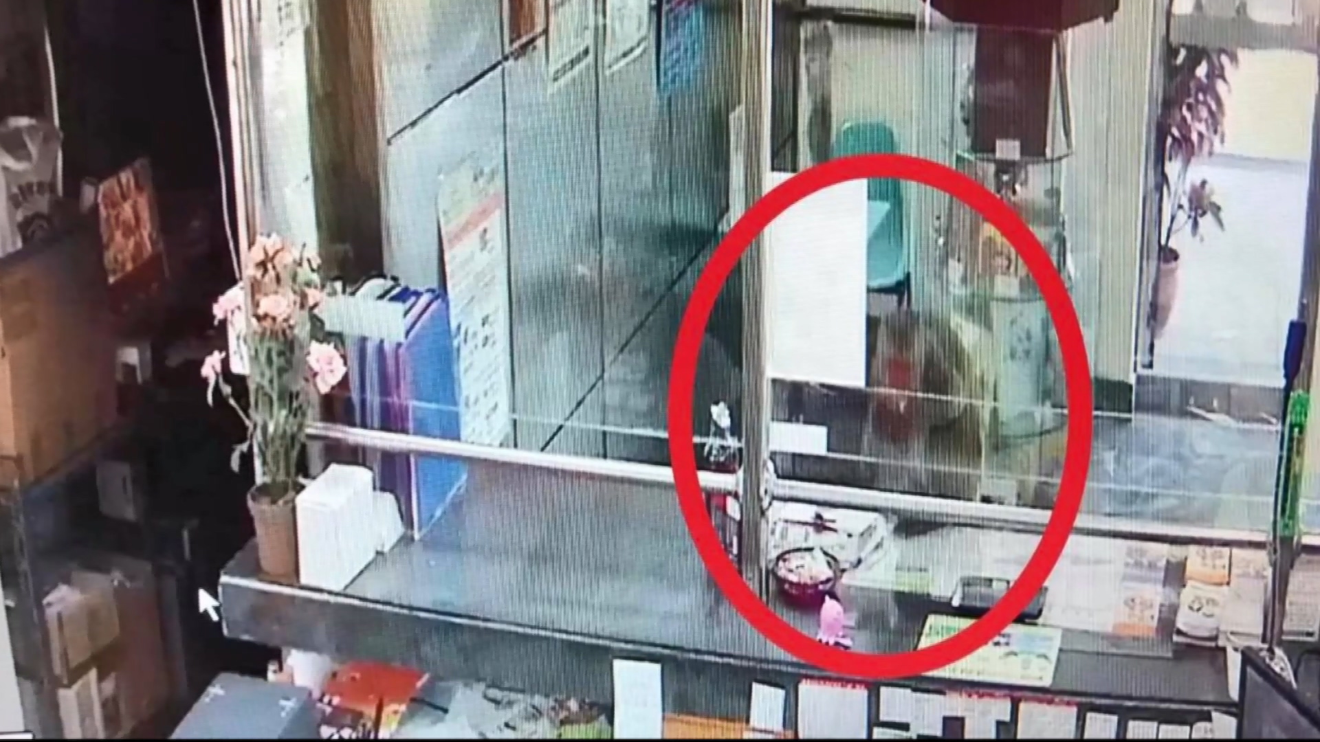 圖/翻攝自中橫路況交通資訊站臉書
