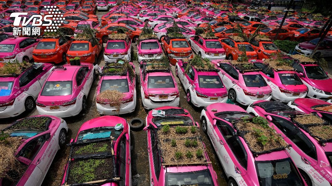 疫情奇景!泰國小黃運將失業 突發奇想在車頂種菜養員工